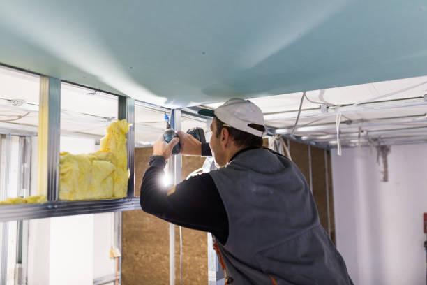 Best Types of Insulation in Plum Grove, TX