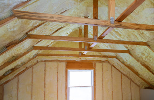 Best Residential Insulation in Plum Grove, TX