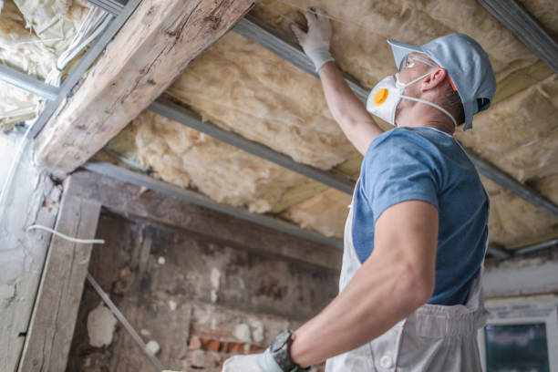 Best Energy Efficiency Solutions in Plum Grove, TX