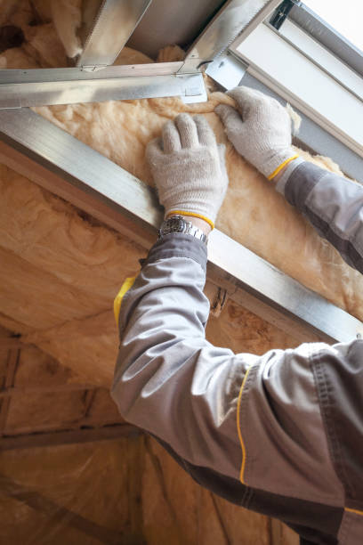 Best Insulation Maintenance and Repair in Plum Grove, TX