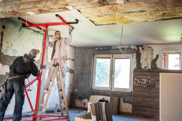 Best Insulation Maintenance and Repair in Plum Grove, TX